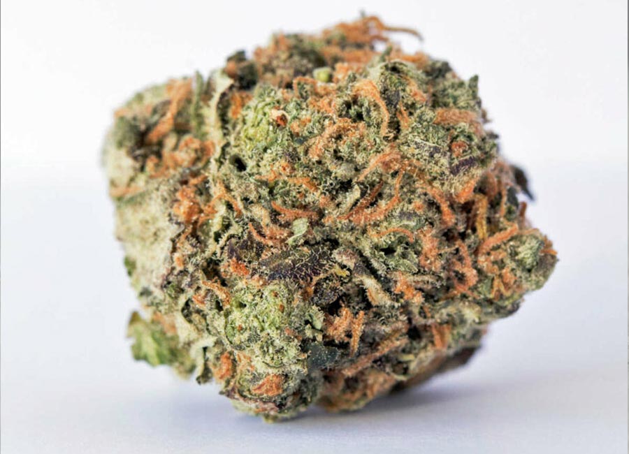 Cannabis Bud, Gary Payton Nug