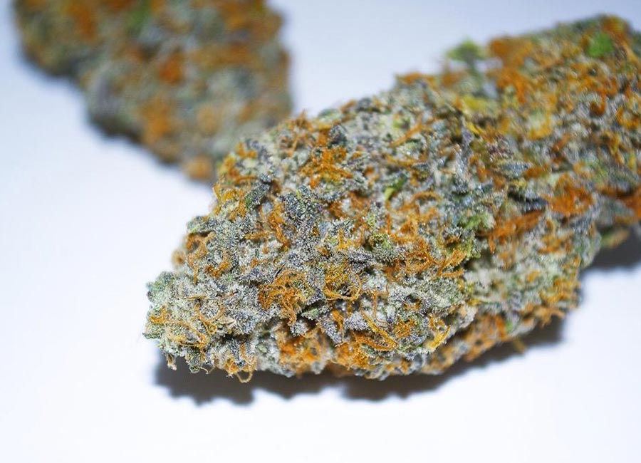 Cannabis Buds, Gelato 41 Nug
