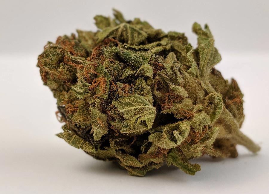 Cannabis Bud, Kosher Kush Nug