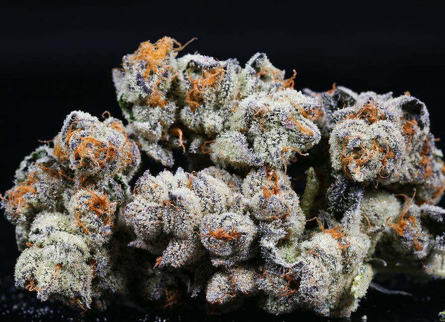Cannabis Buds, Purple Punch Nugs