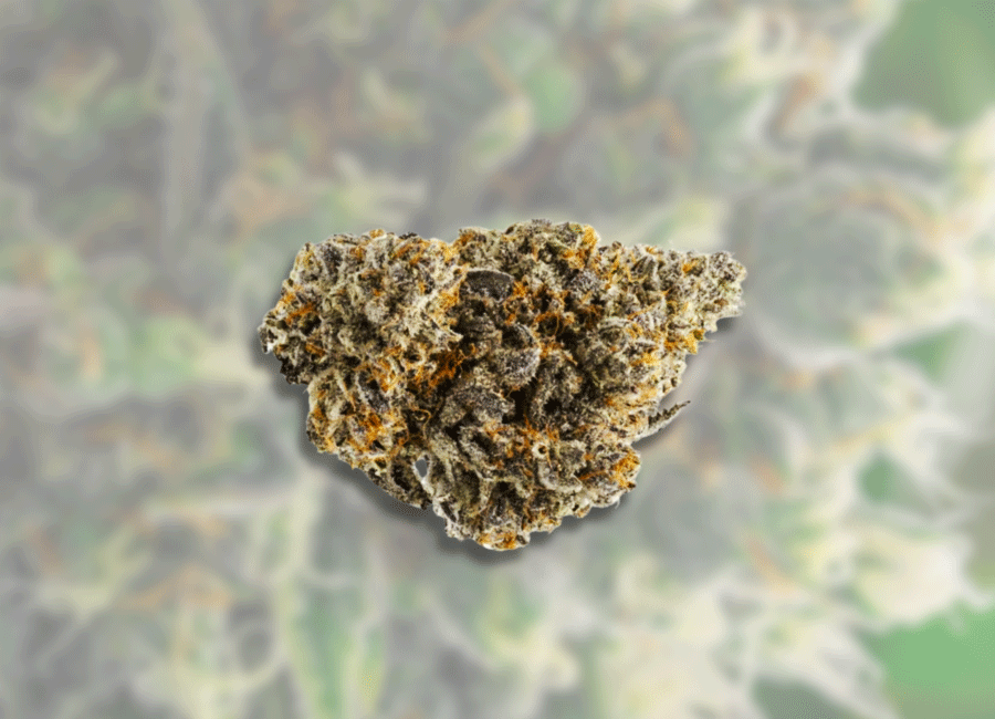Cannabis Bud, Runtz Nug
