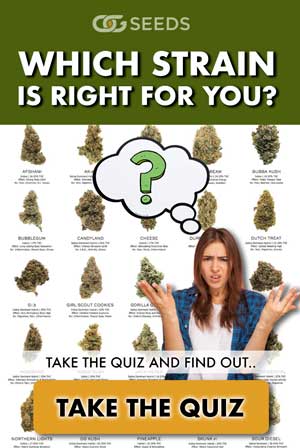 which strain is right for you menu
