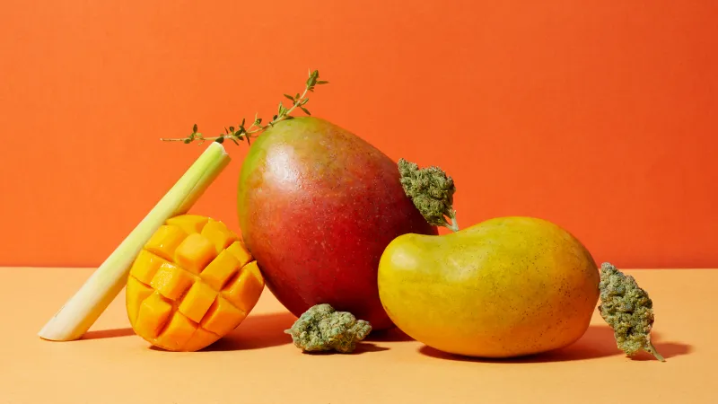 Fruity Cannabis Strains