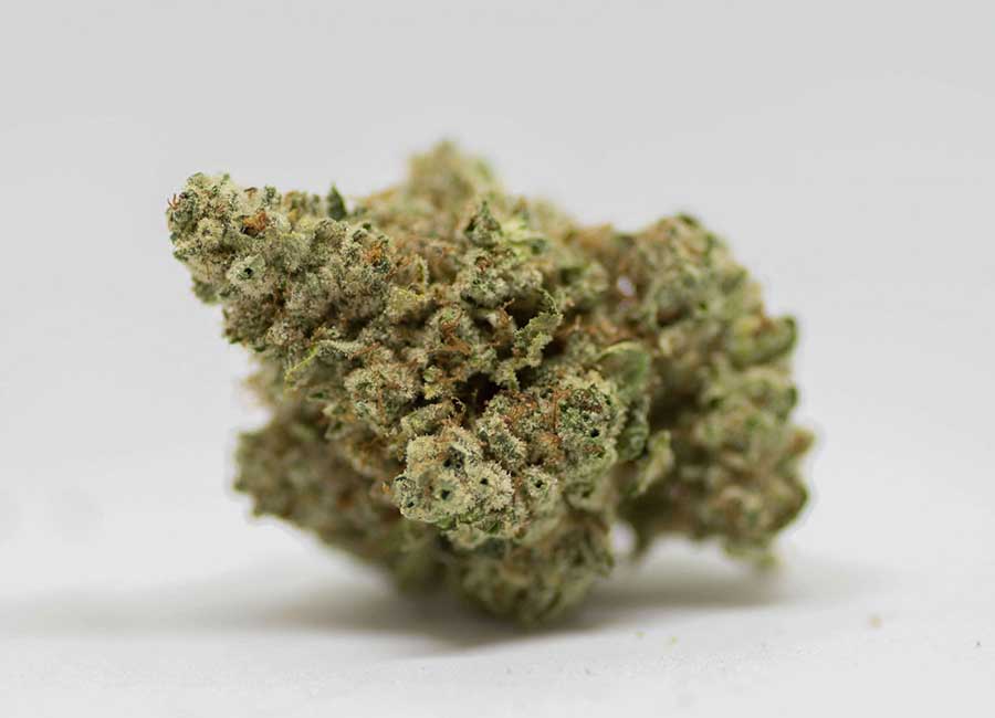 Cannabis Bud, GG4 Nugs