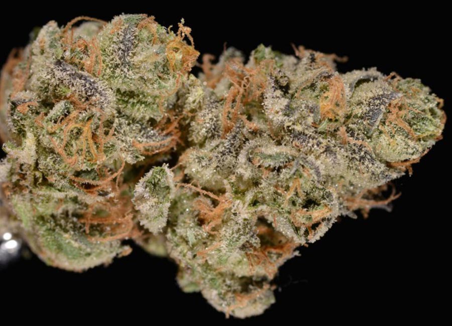hybrid strain - Cannabis Bud, Girl Scout Cookies Nug