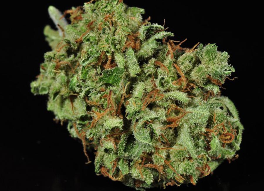 Cannabis Bud, Green Crack Nug