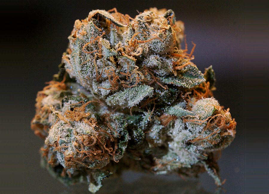 Cannabis Bud, Hindu Kush Nug