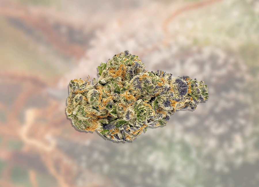 Cannabis Bud, Kush Mints Nug