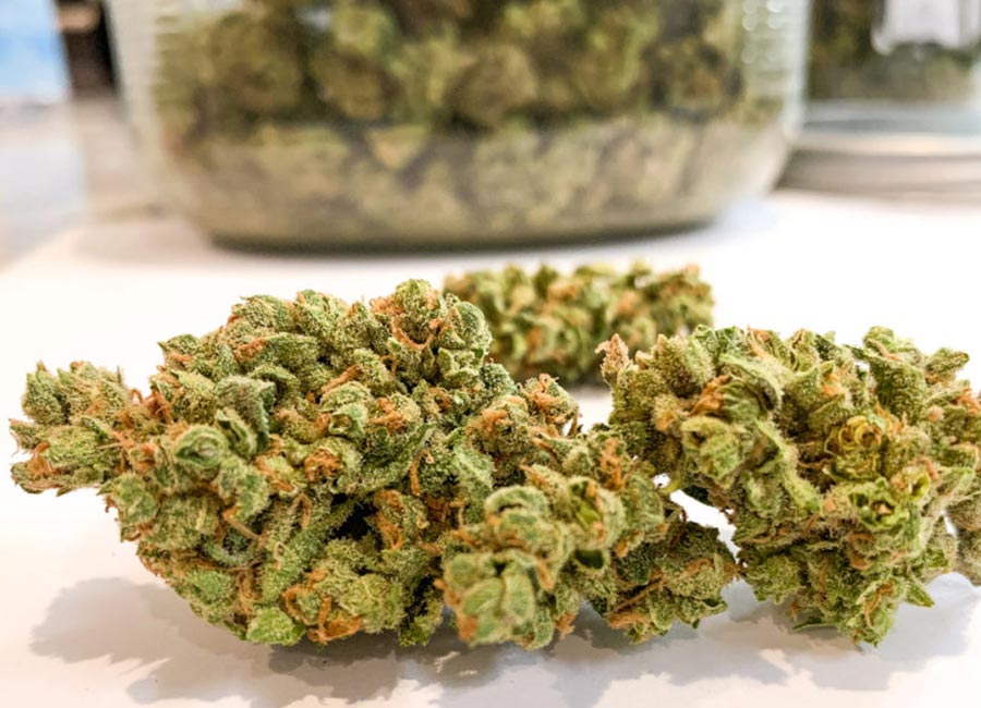 Cannabis Bud, Sour Pinot Nug