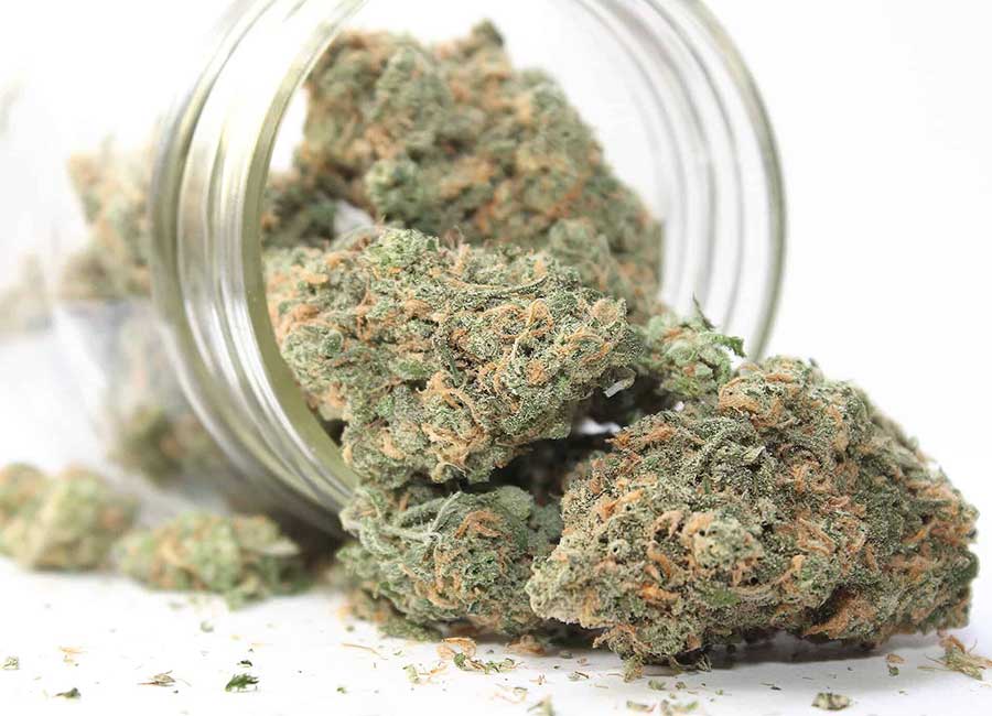 Cannabis Buds, Kosher Kush Nugs