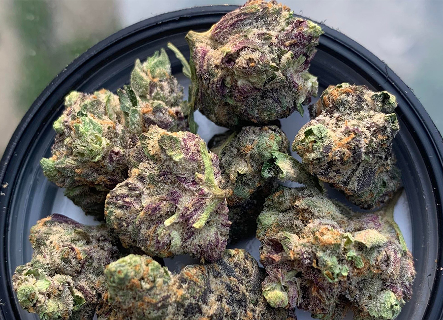 Cannabis Buds