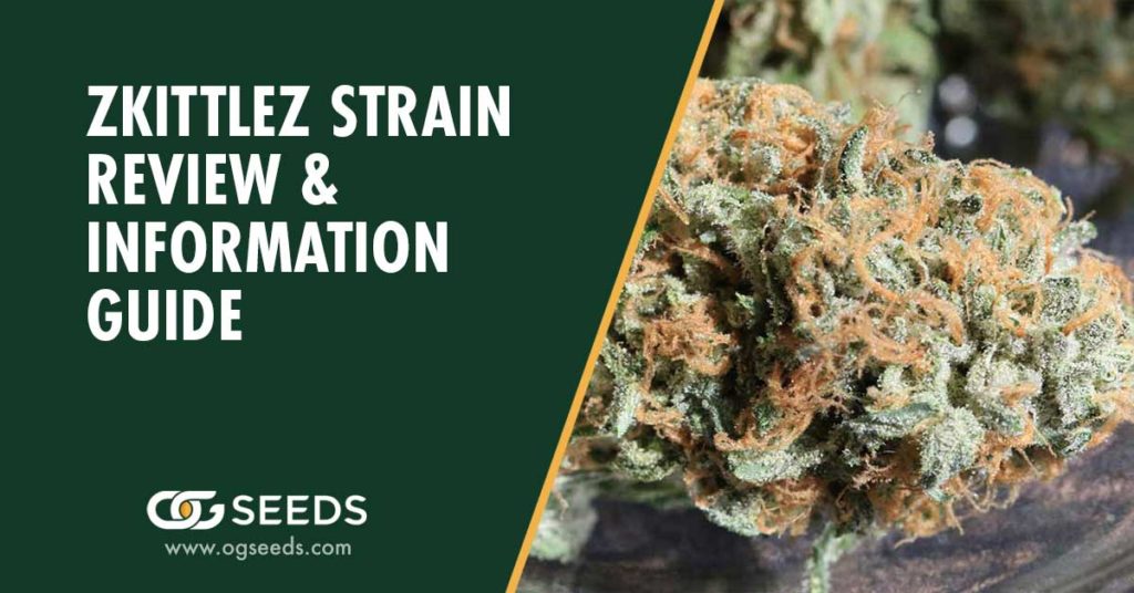 Zkittlez Strains - The Ultimate Strain Review & Information Guide