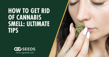 How to Get Rid of Cannabis Smell: Ultimate Tips