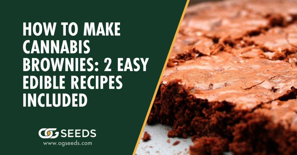 How to Make Cannabis Brownies: 2 Easy Edible Recipes Included