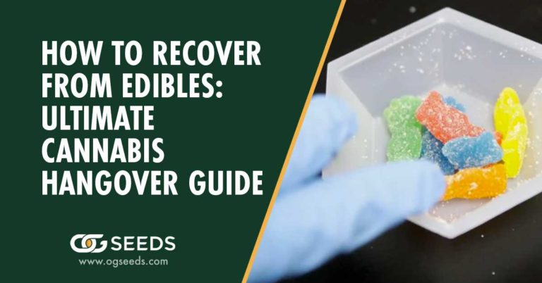 How to recover from edibles