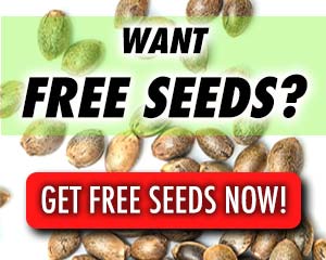 free seeds