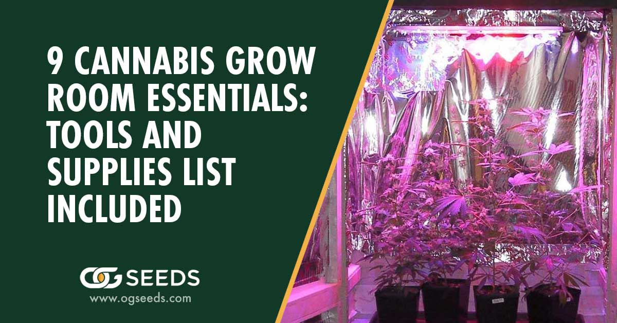 9 Cannabis Grow Room Essentials: Tools and Supplies List Included