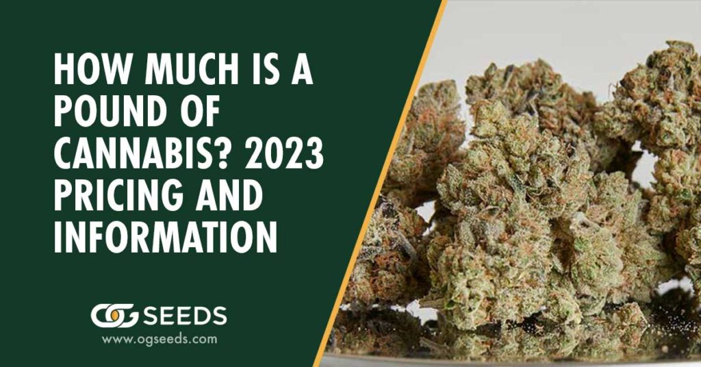 How Much is a Pound of Cannabis? 2023 Pricing and Information