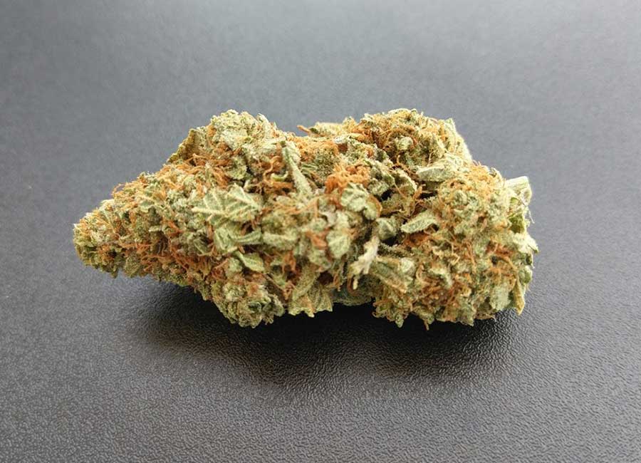 Cannabis Bud, Lemon Haze