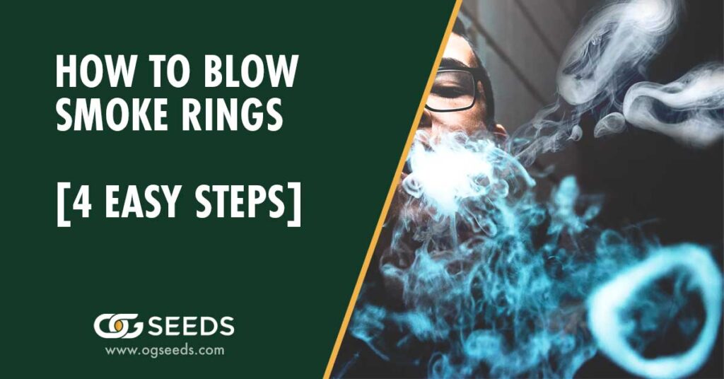 How to Blow Smoke Rings[4 Easy Steps]