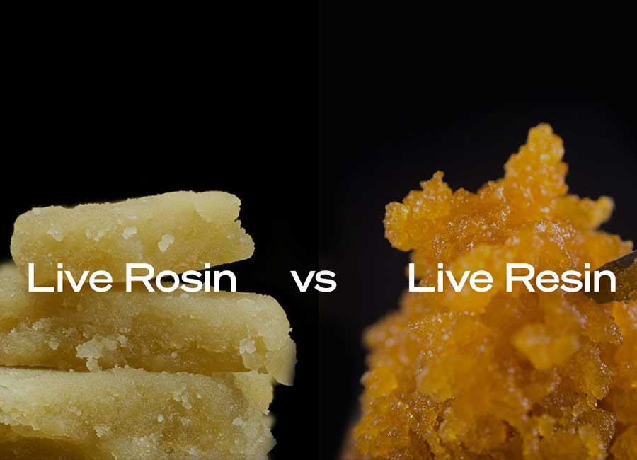 Live Resin VS Live Rosen