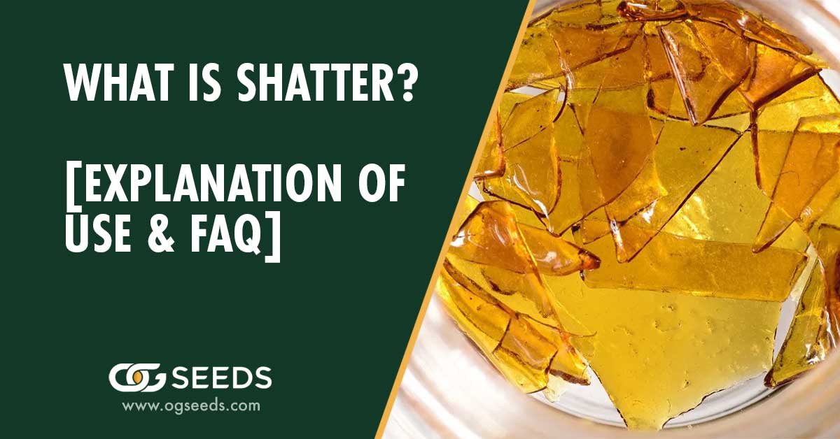 What is Shatter? [Explanation of Use & FAQ]