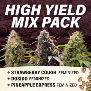 High Yield Mix Pack - Feminized