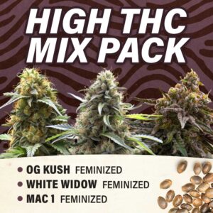 High THC Mix Pack - Feminized